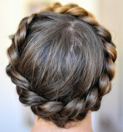 Alisa's Braid Shop - halo braid